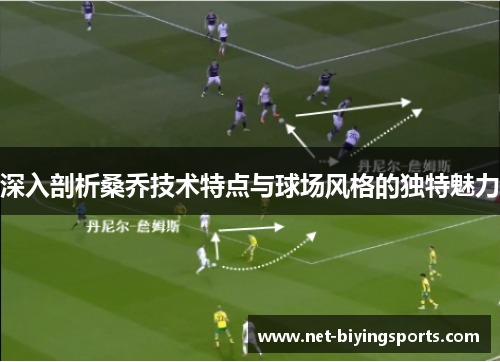 深入剖析桑乔技术特点与球场风格的独特魅力