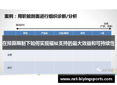 在预算限制下如何实现福祉支持的最大效益和可持续性