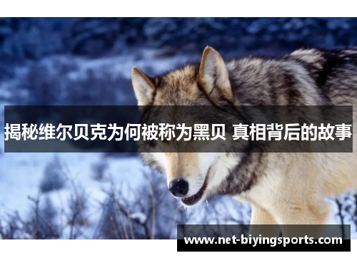 揭秘维尔贝克为何被称为黑贝 真相背后的故事 揭秘维尔贝克为何被称为黑贝 真相背后的故事